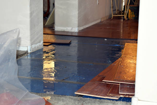 Professional Water Damage Restoration technician working in Thompson, OH